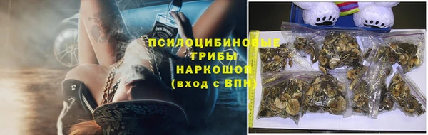 ешки Балахна