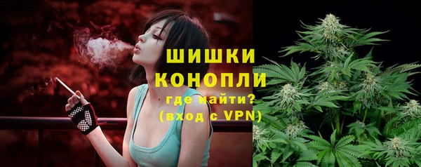 круглые Белокуриха