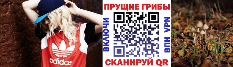 купить сайты Сегежа Псилоцибиновые грибы GOLDEN TEACHER